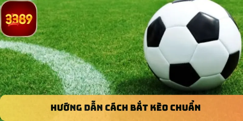Hướng dẫn cách bắt kèo chuẩn